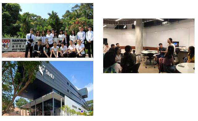 国际财会菁英孵化营—新加坡国立大学研学与世界500强企业实训项目5