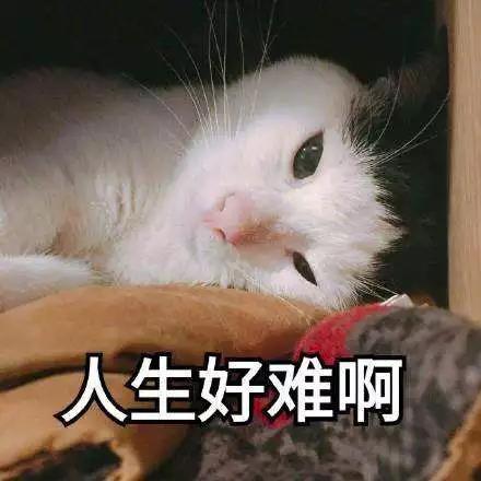 大学生职业化的第一项修炼：沟通说服力