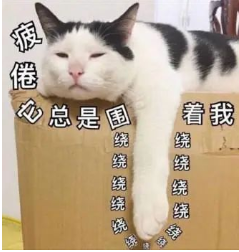 以行动·致青春：2022楷柏财经行业洞见分享会，无界对话破局现状！12