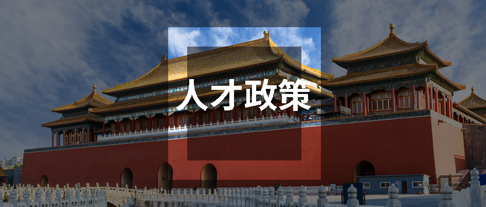 重磅！FCCA及ACCA证书双双入选《北京市境外职业资格认可目录（3.0版）》