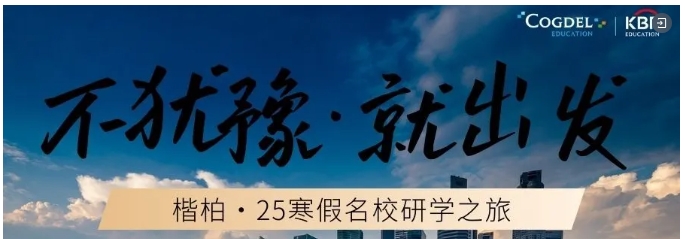 微信截图_20241209115324