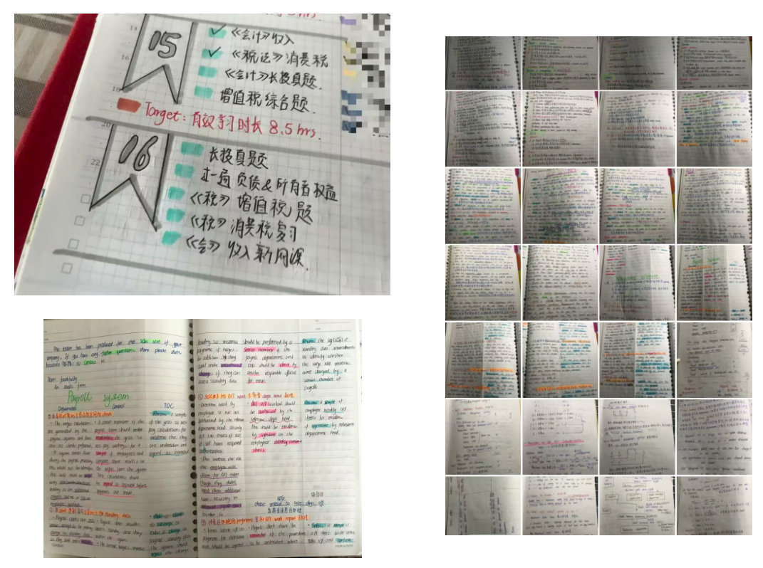 楷柏优等生:从双非到四大,别害怕起点低,别担心路途远3 楷柏优等生:从双非到四大,别害怕起点低,别担心路途远3