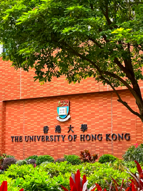 暑假逆袭天花板:花两周把剑桥、港大、新国立、悉尼大学全部写进简历3 暑假逆袭天花板:花两周把剑桥、港大、新国立、悉尼大学全部写进简历3